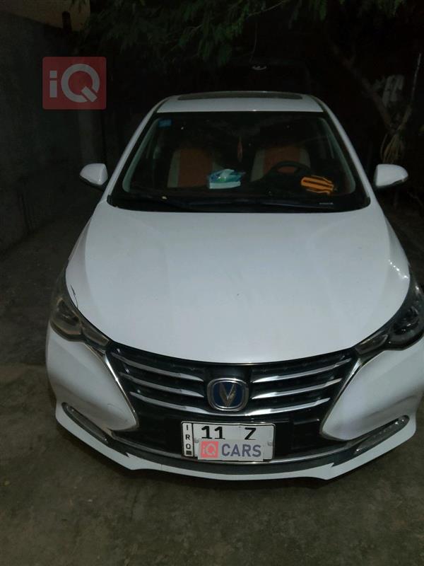 شانجان السفن 2025 للبيع في العراق - ديالى